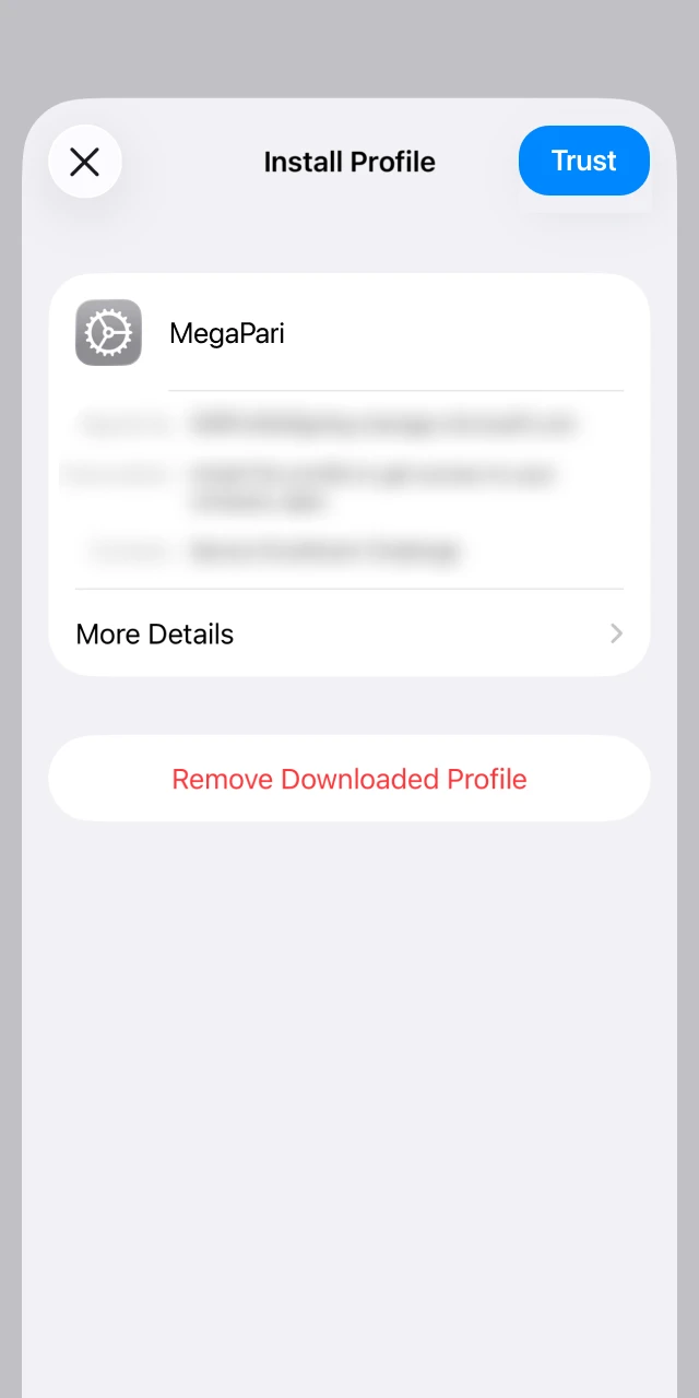 Manually trust the MegaPari developer profile in the iPhone Enterprise Management settings.