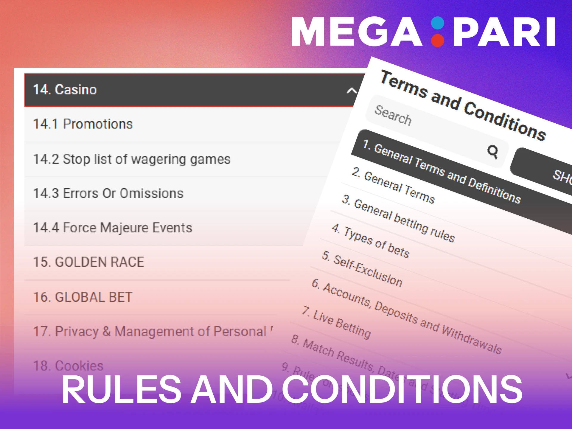 Read the official rules and conditions of the MegaPari site.
